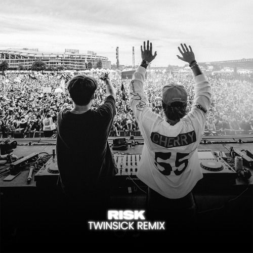 Risk (TWINSICK Remix) [Extended Mix]