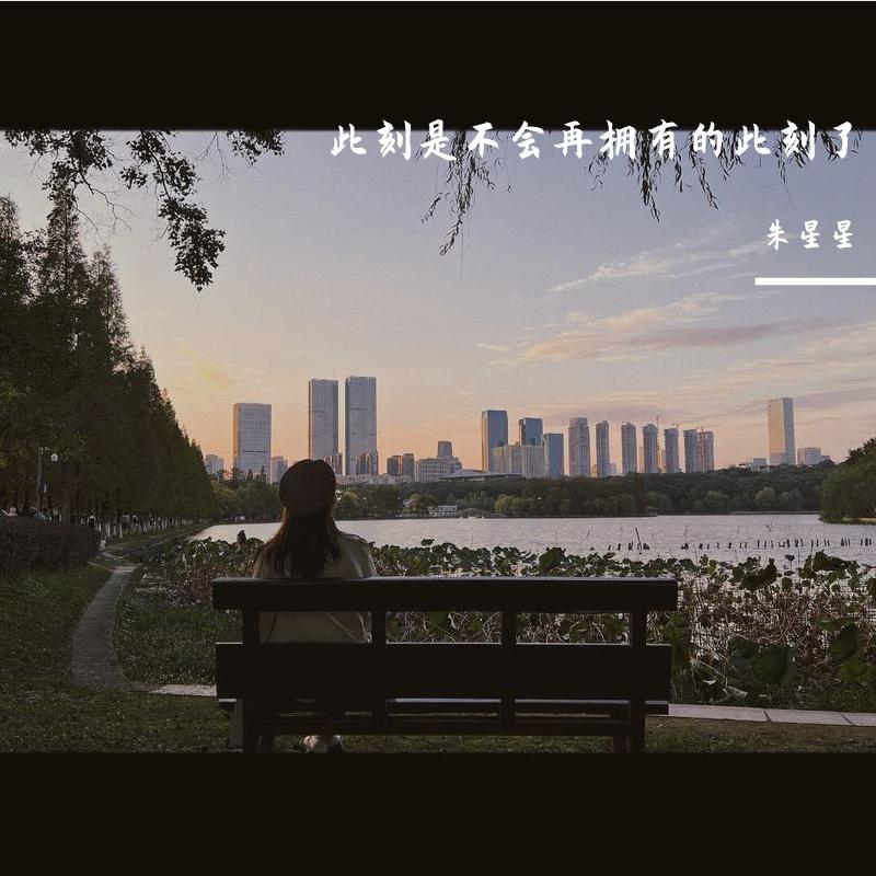 此刻是不会再拥有的此刻了封面