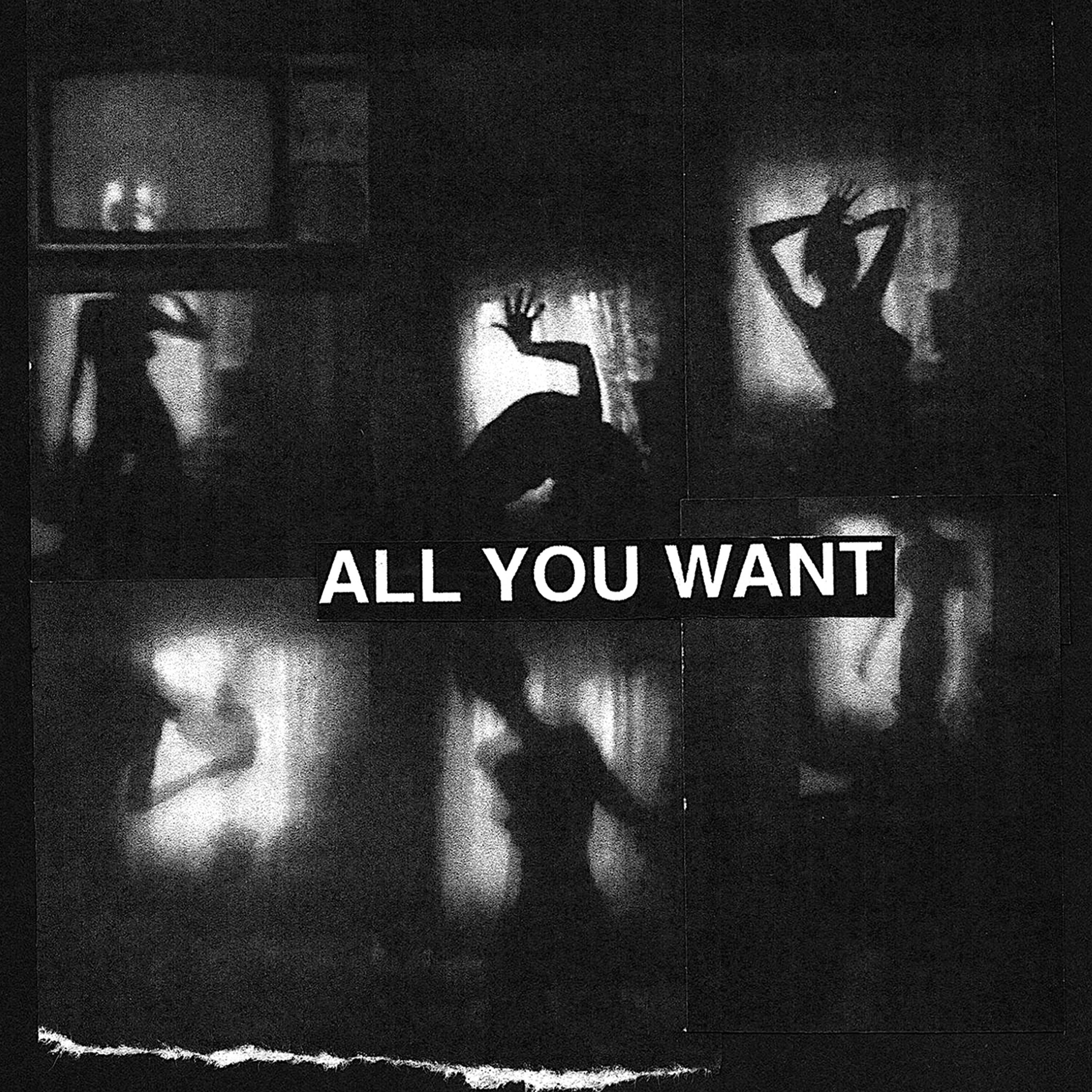 All You Want