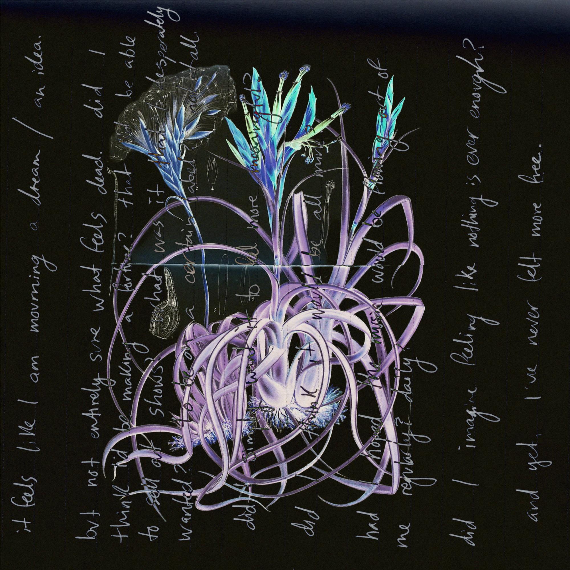 third try (QRTR Flip)