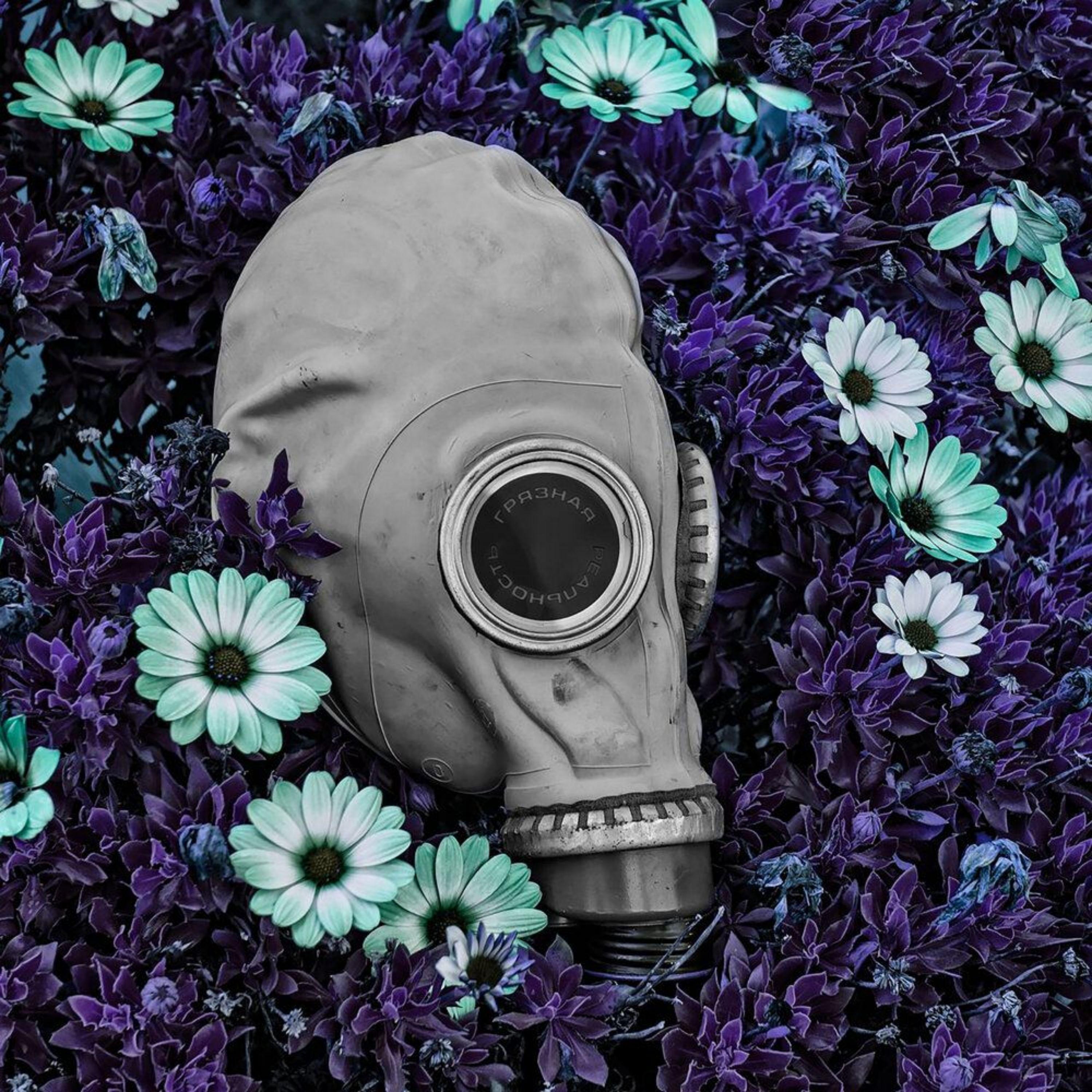 Грязная реальность