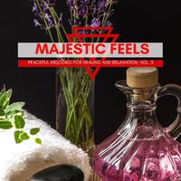 Majestic Feels - Peaceful Melodies For Healing And Relaxation, Vol. 3