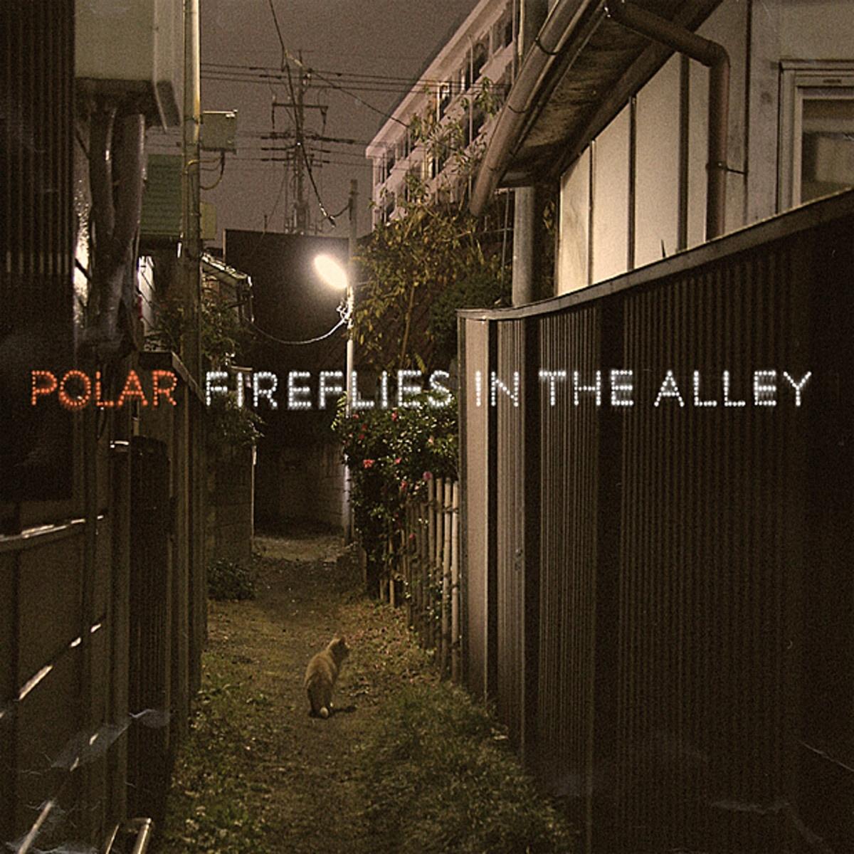 The Hunting Bird_Polar_Fireflies in the Alley | 在线播放_The Hunting Bird歌词_The Hunting Bird下载 | 网易云音乐