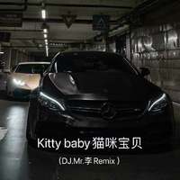 Kitty baby猫咪宝贝（DJ.Mr.李Remix ）