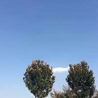 大白灏资料,大白灏最新歌曲,大白灏MV视频,大白灏音乐专辑,大白灏好听的歌