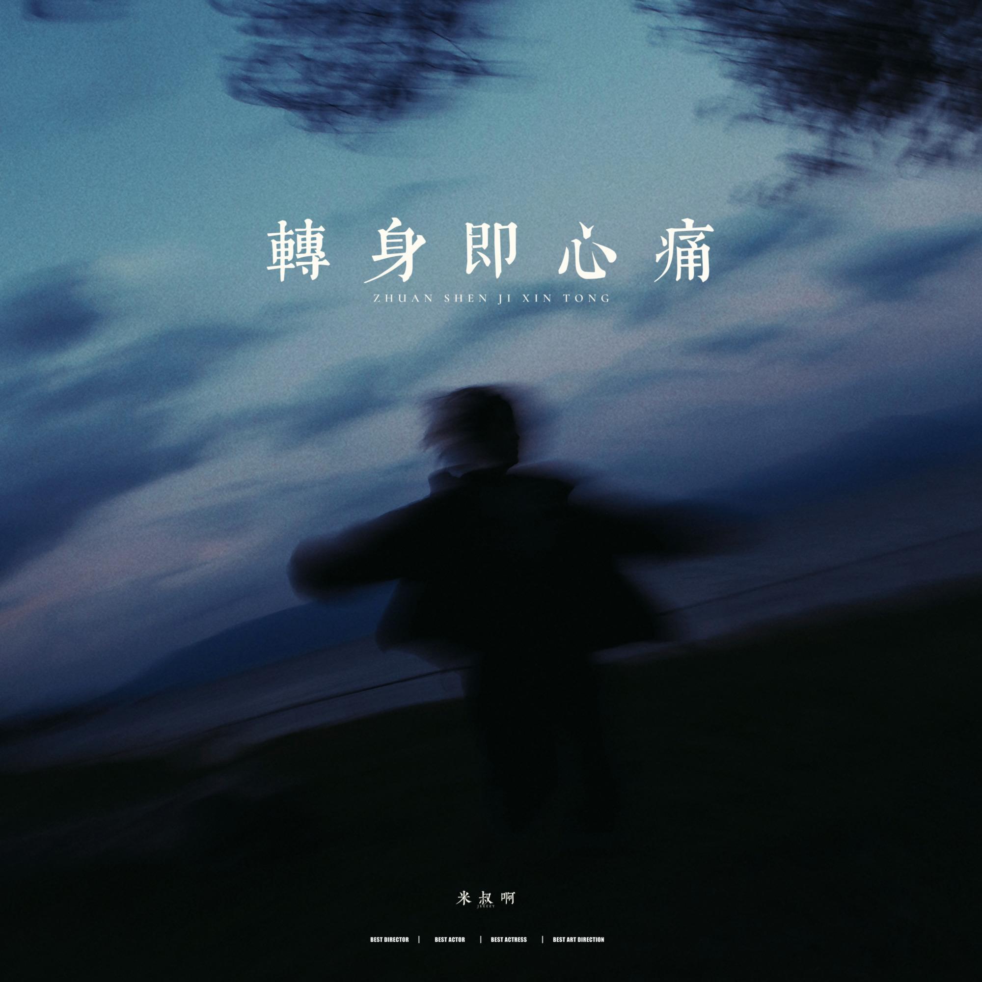 转身即心痛封面