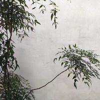 求索4
