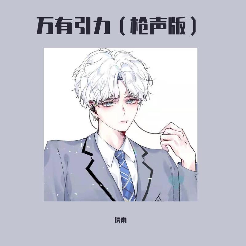 汪苏泷-辰雨- 万有引力 (枪声版)（辰雨 remix） - 辰雨封面