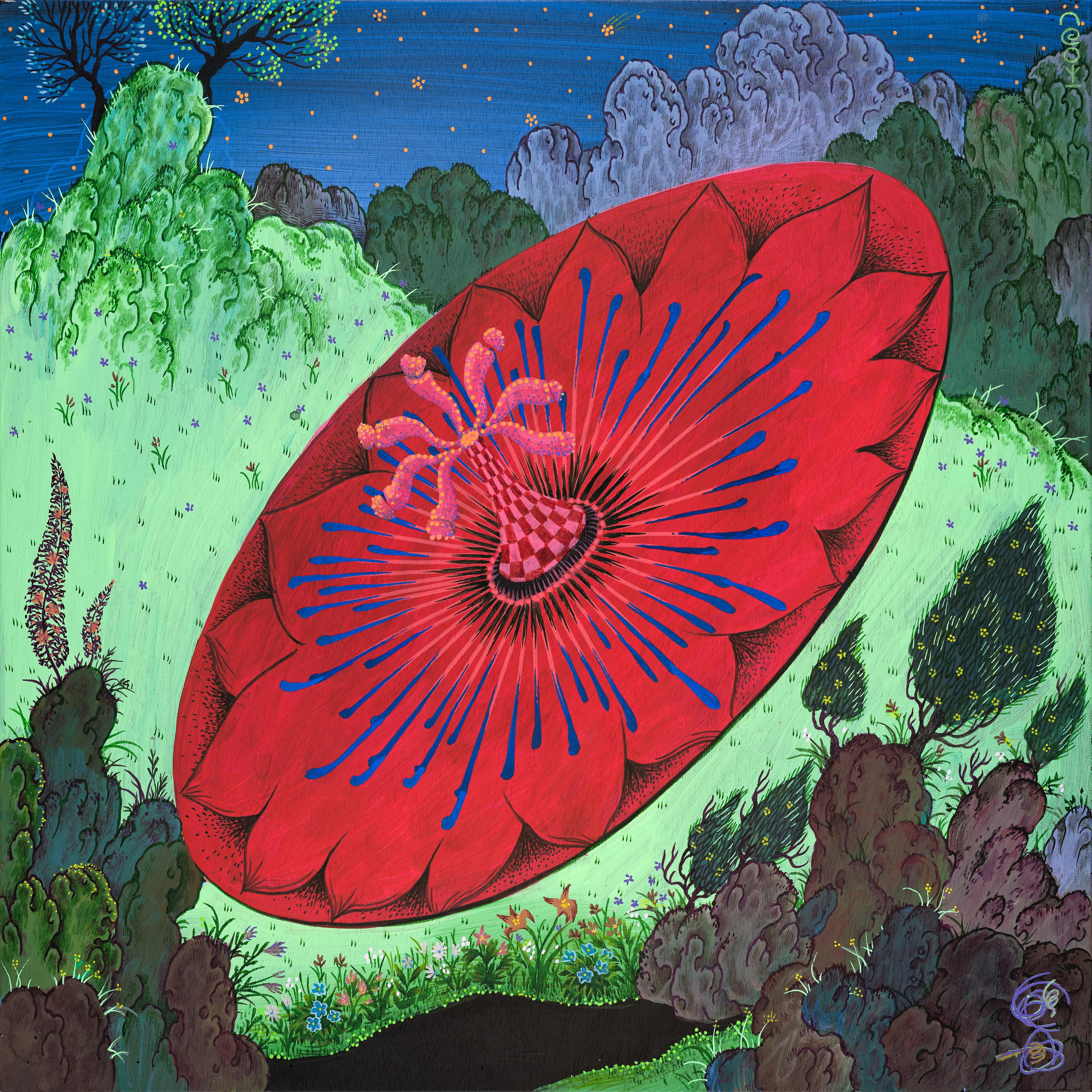 The Night In Aleng Town