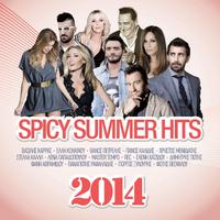 Spicy Summer Hits 2014