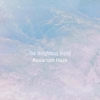 Aquarium Haze