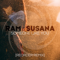 Someone Like You (ReOrder Remix)