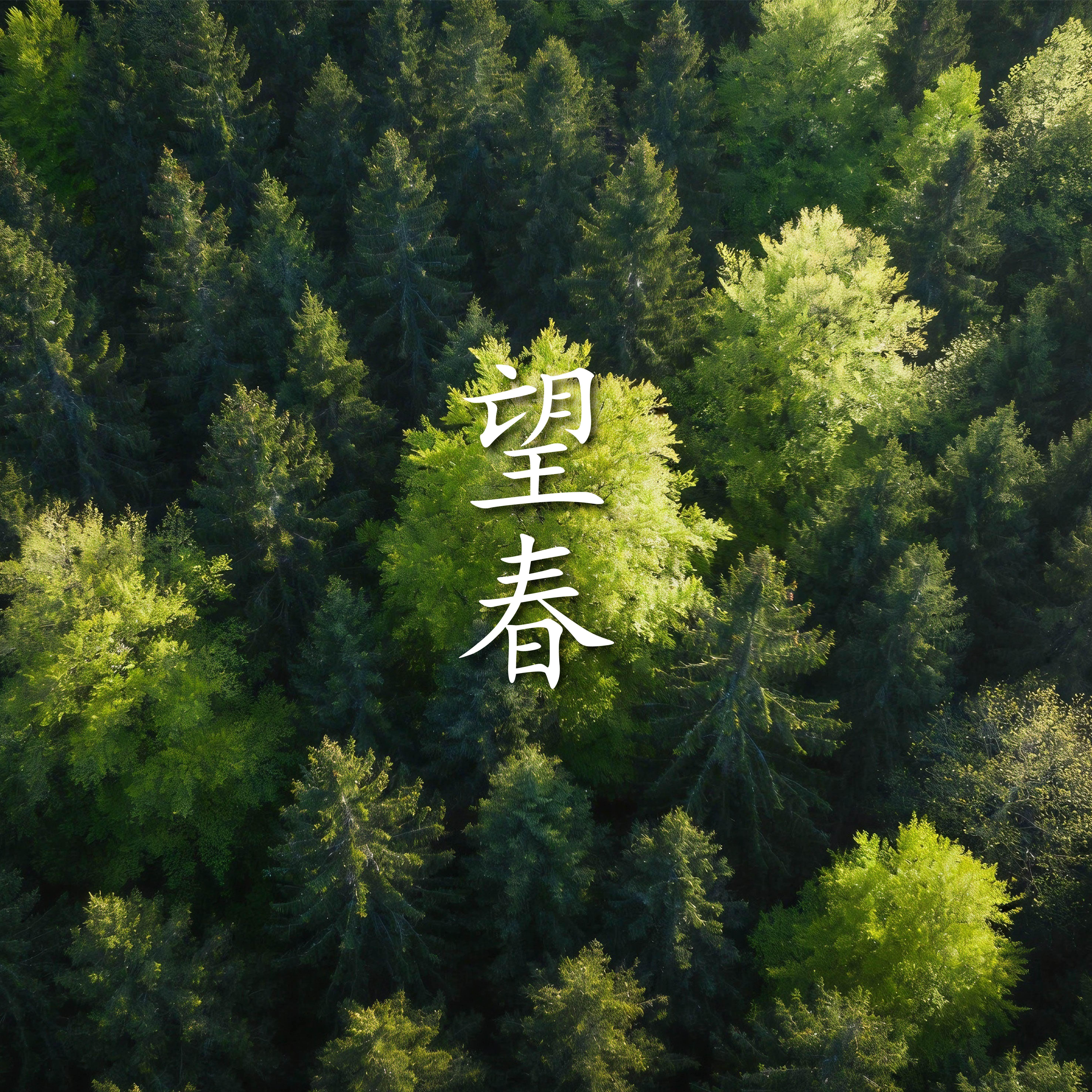 望春 - 春卷儿封面