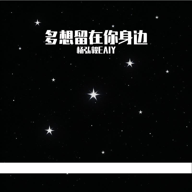多想留在你身边封面