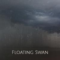 Floating Swan