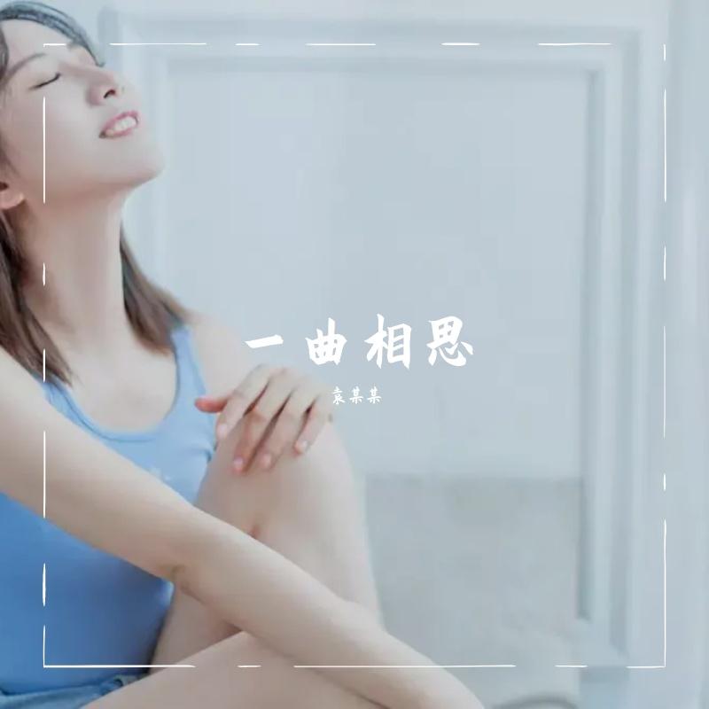 霍元甲 - 袁某某封面