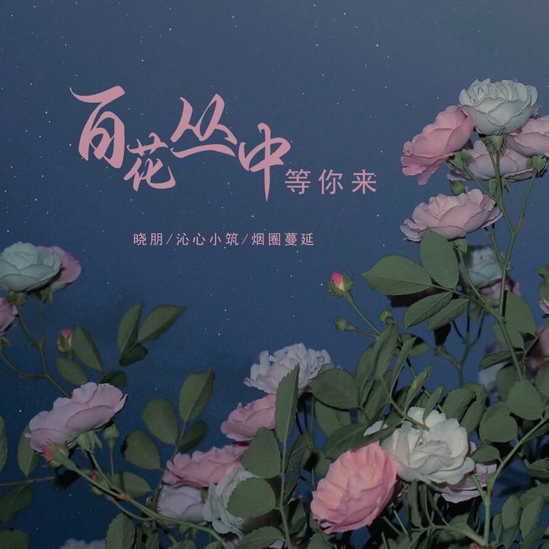 百花丛中等你来 (DJ版)封面