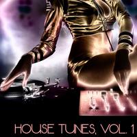 House Tunes, Vol. 1