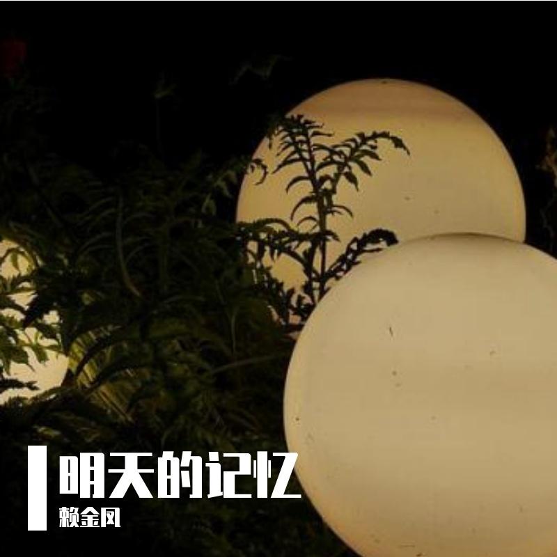 明天的记忆 - 赖金凤封面