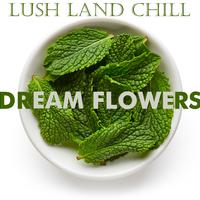 Lush Land : Dream Flowers