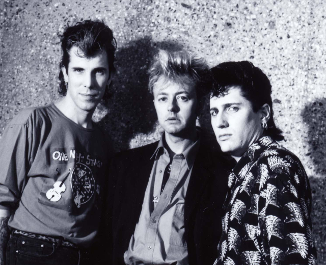 Stray Cats