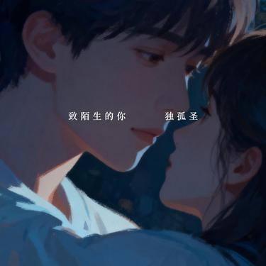 致陌生的你封面