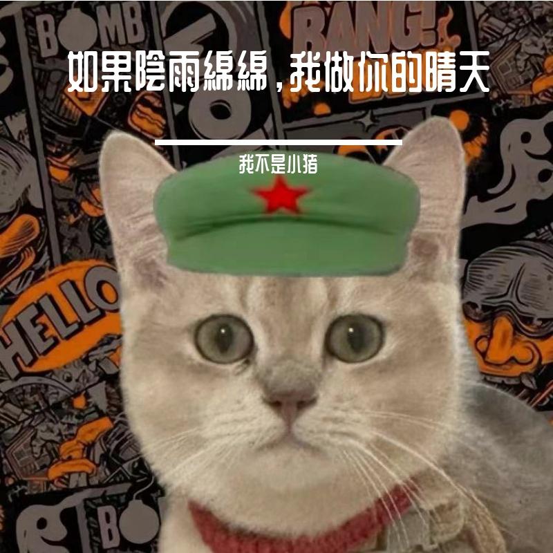 如果忧郁是种天赋 伴奏