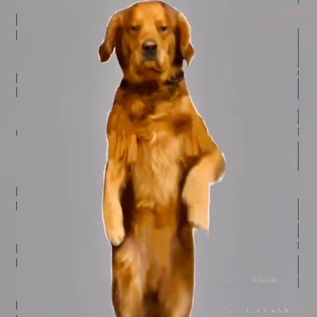 沐浴露和香香皂