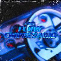 Flow Empresario