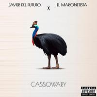 Cassowary