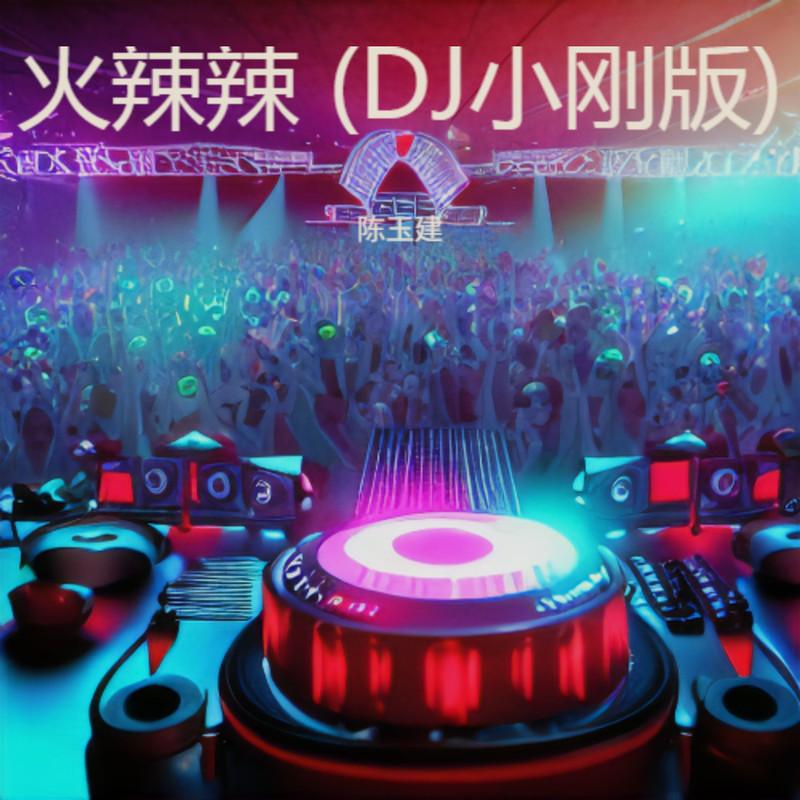 火辣辣 (DJ小刚版)封面