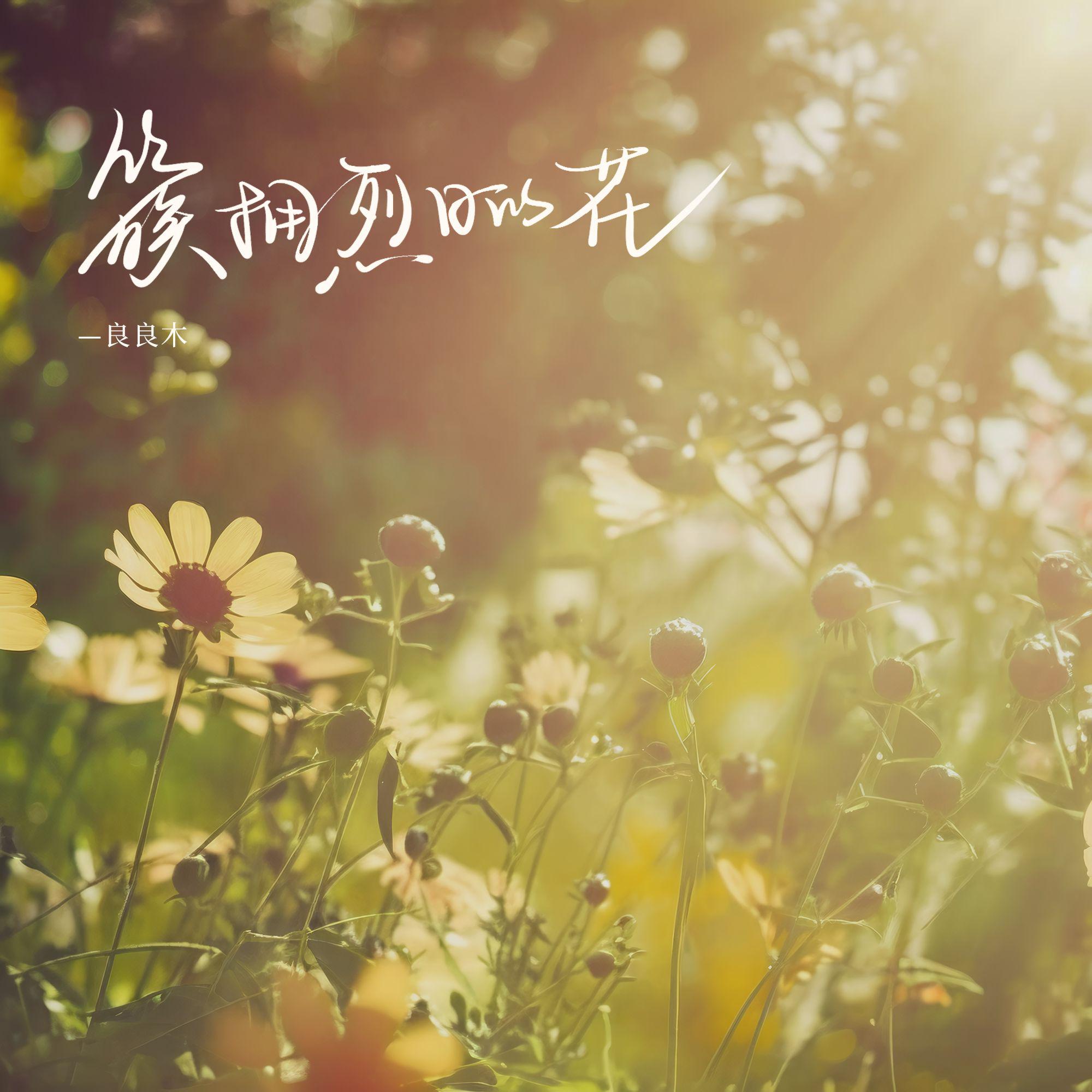 song-img
