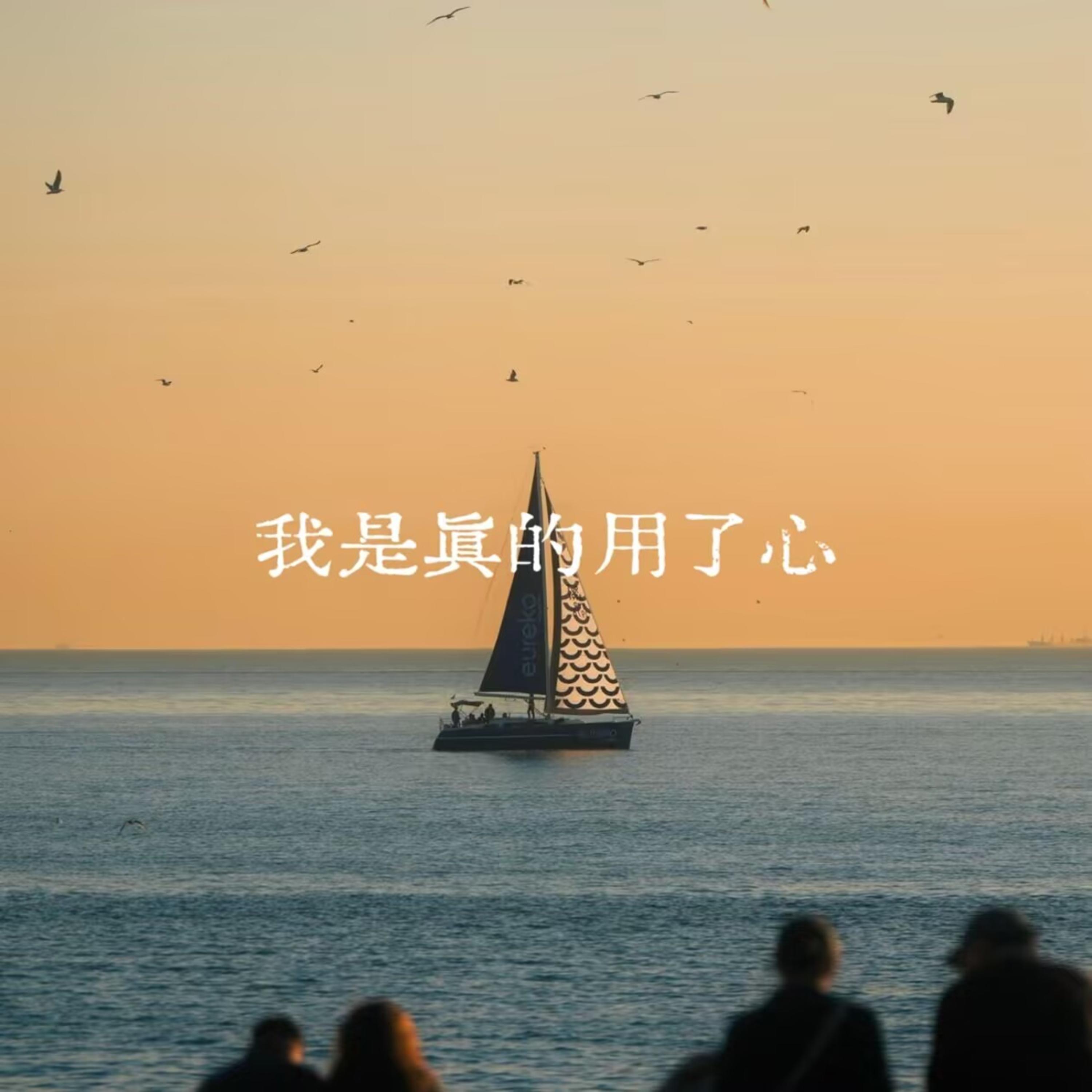 我是真的用了心封面