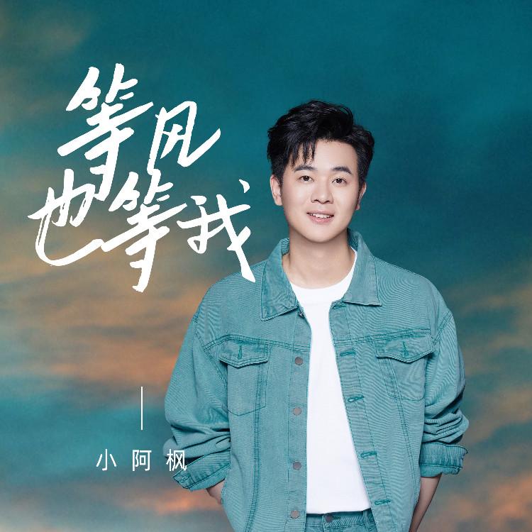 等风也等我封面