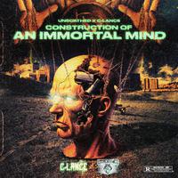 Construction Of An Immortal Mind