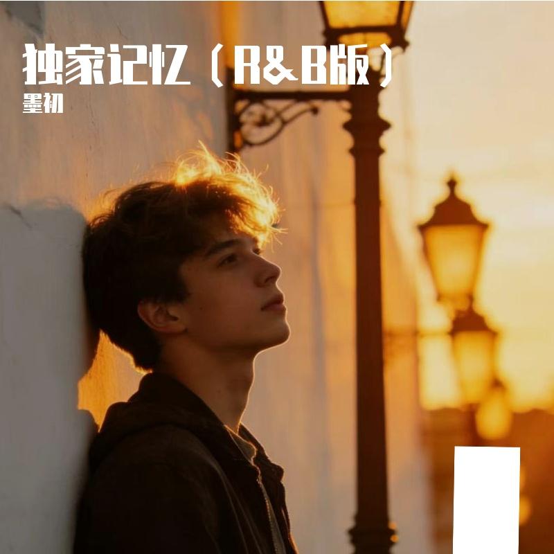 独家记忆封面