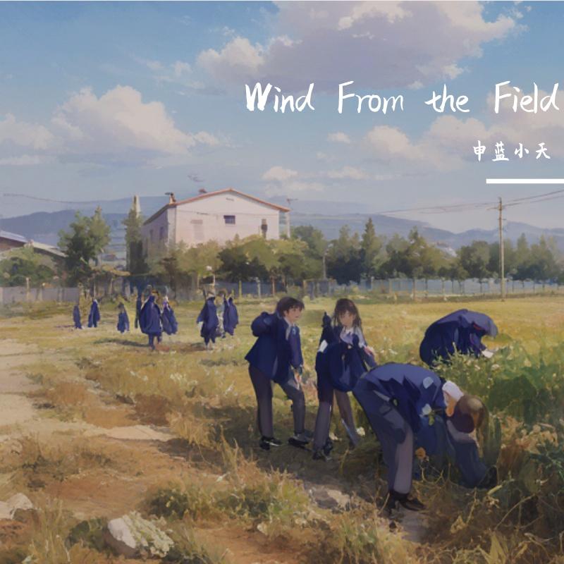 田野的风(Wind from the field)封面