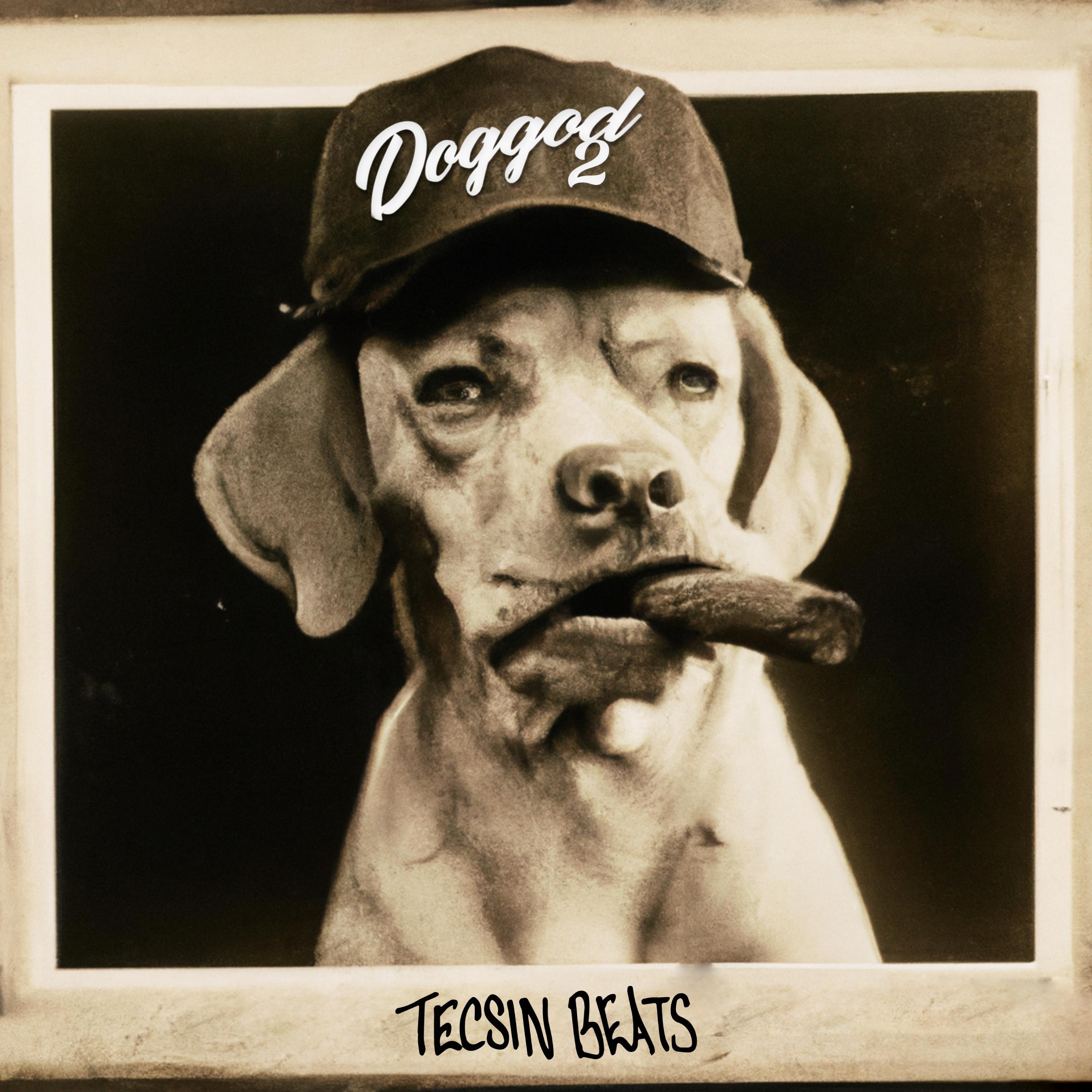 生成外链播放器点击打开客户端samoyedo歌手：tecsin beats所属专辑：doggod 2