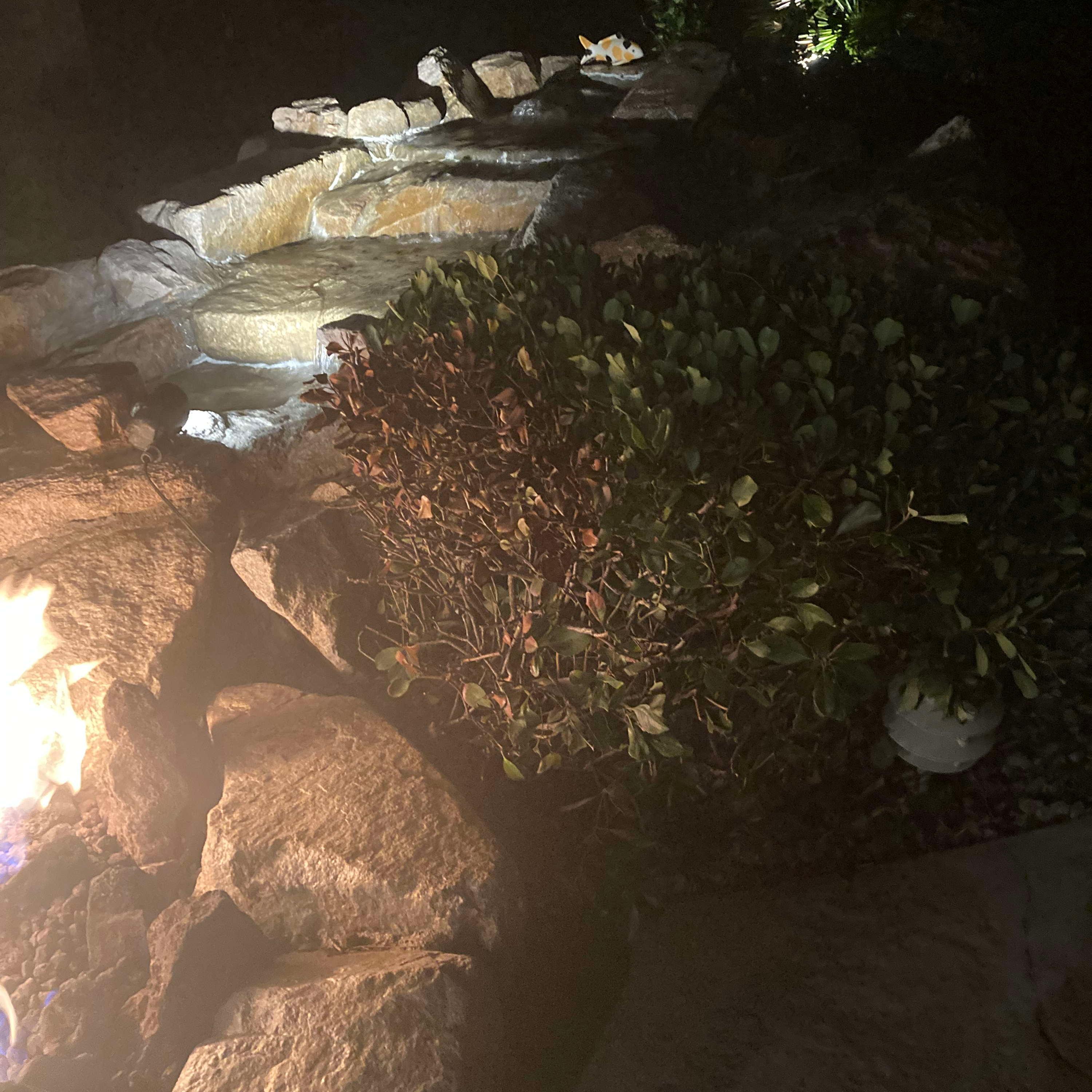 renzotoldmespeeditup