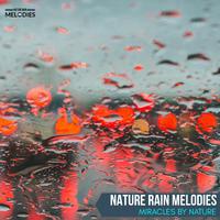 Nature Rain Melodies - Miracles by Nature