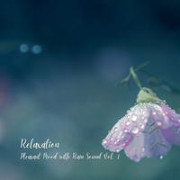 Relaxation: Pleasant Mood with Rain Sound Vol. 1