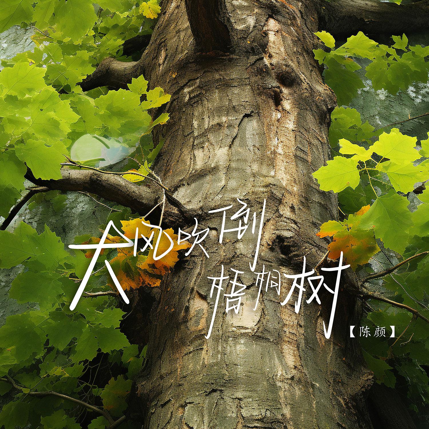 大风吹倒梧桐树 (伴奏) - 陈颜封面