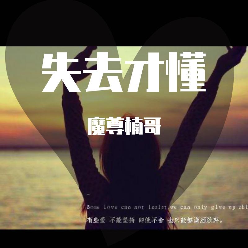 一生与你擦肩而过封面