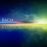 Bach: A Classical Panorama