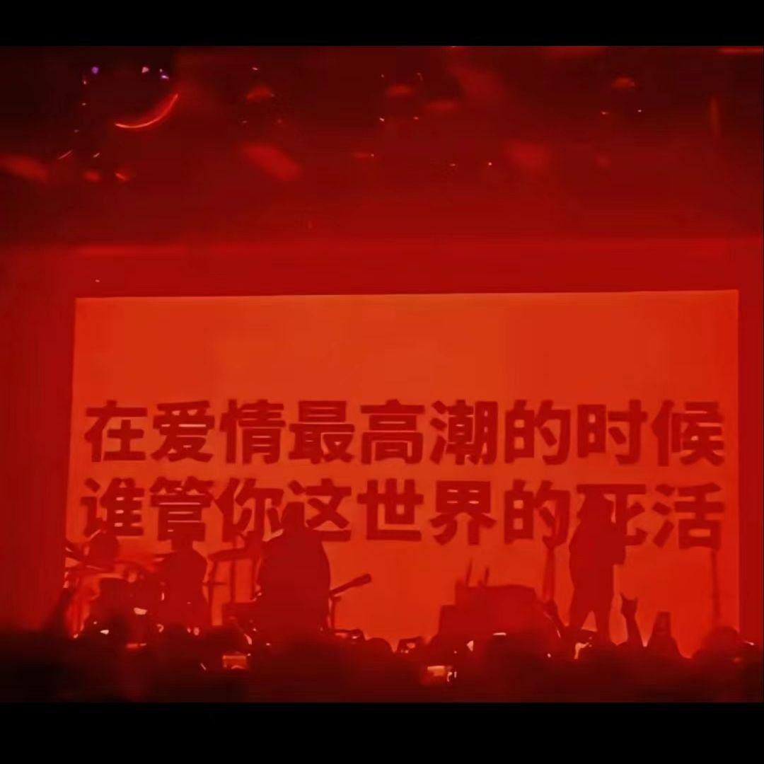 植物大战僵尸封面