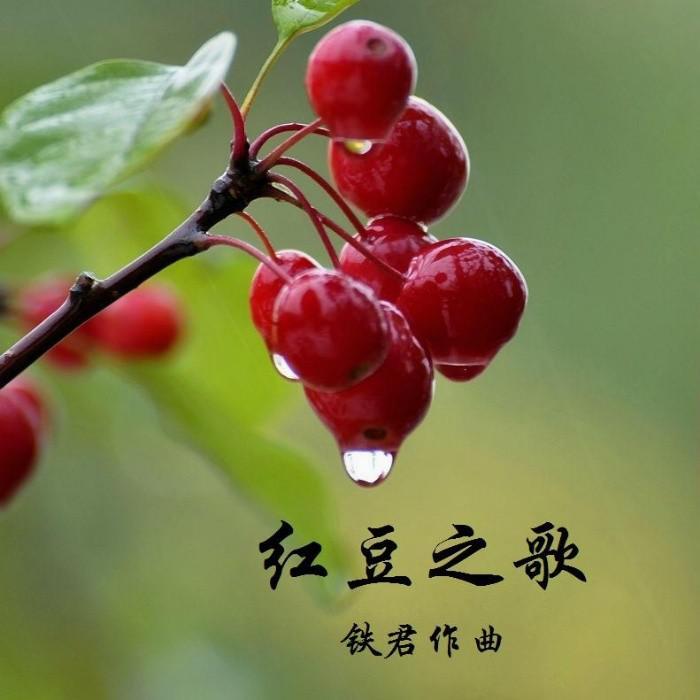 红豆之歌（旋律伴奏）