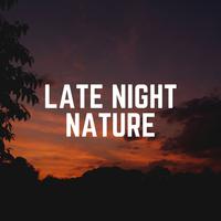 Late Night Nature