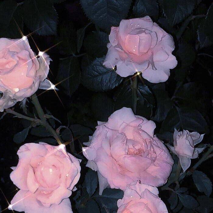 红色高跟鞋（原唱：蔡健雅）