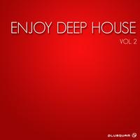 Enjoy Deep House, Vol. 2