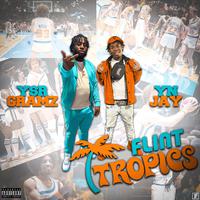 Flint Tropics